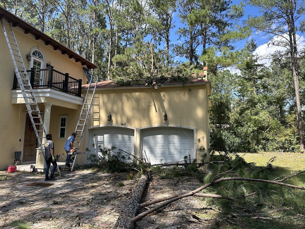 Pine tree fallen across the garage roof of a stucco home after a storm, D2R crew on ladders starting removal